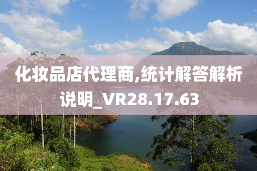 化妆品店代理商,统计解答解析说明_VR28.17.63