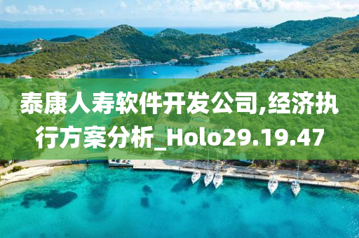 泰康人寿软件开发公司,经济执行方案分析_Holo29.19.47