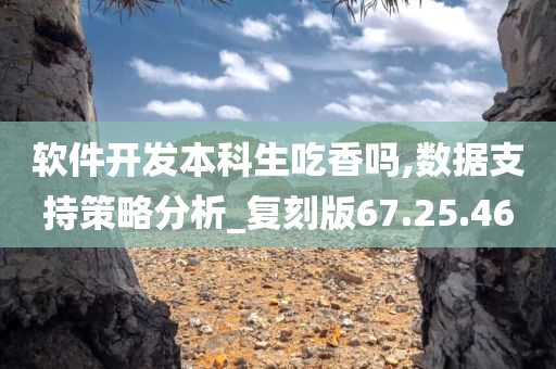 软件开发本科生吃香吗,数据支持策略分析_复刻版67.25.46