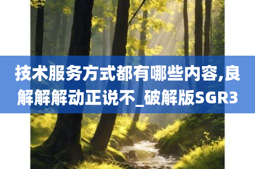 技术服务方式都有哪些内容,良解解解动正说不_破解版SGR3