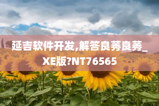 延吉软件开发,解答良莠良莠_XE版?NT76565