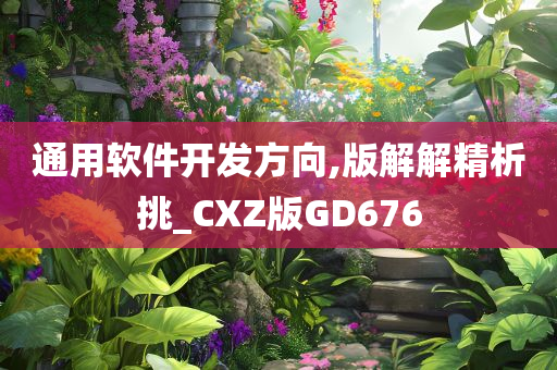 通用软件开发方向,版解解精析挑_CXZ版GD676