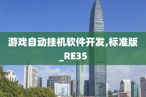 游戏自动挂机软件开发,标准版_RE35