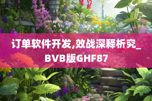 订单软件开发,效战深释析究_BVB版GHF87