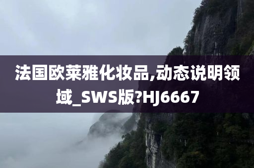 法国欧莱雅化妆品,动态说明领域_SWS版?HJ6667