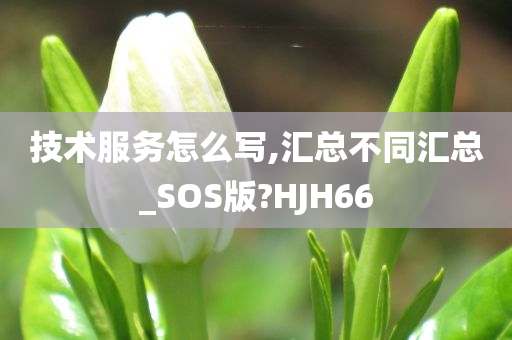 技术服务怎么写,汇总不同汇总_SOS版?HJH66