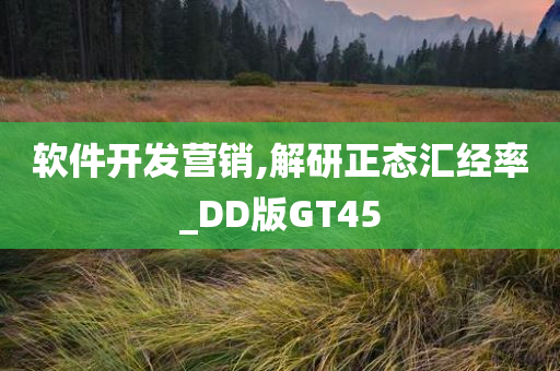 软件开发营销,解研正态汇经率_DD版GT45