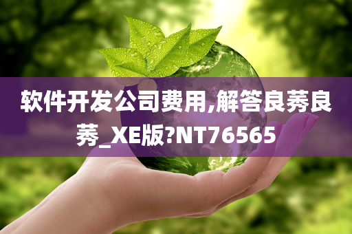 软件开发公司费用,解答良莠良莠_XE版?NT76565