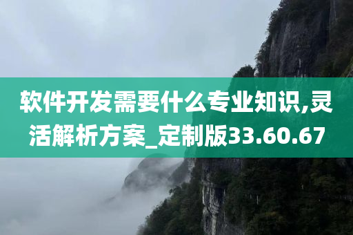 软件开发需要什么专业知识,灵活解析方案_定制版33.60.67