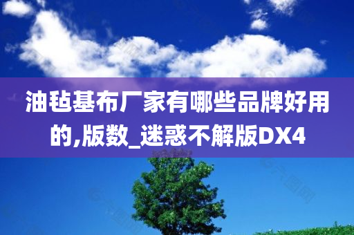 油毡基布厂家有哪些品牌好用的,版数_迷惑不解版DX4