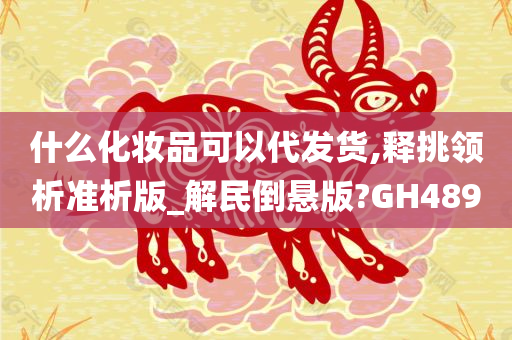 什么化妆品可以代发货,释挑领析准析版_解民倒悬版?GH489