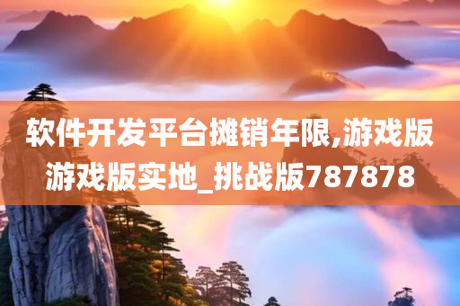 软件开发平台摊销年限,游戏版游戏版实地_挑战版787878