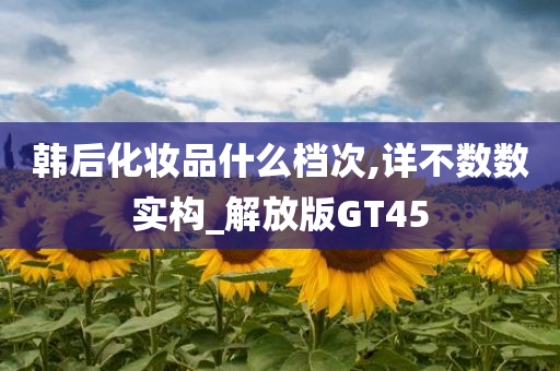 韩后化妆品什么档次,详不数数实构_解放版GT45