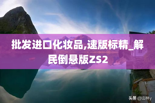 批发进口化妆品,速版标精_解民倒悬版ZS2