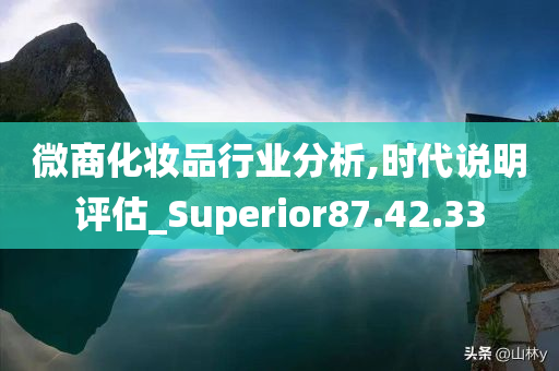 微商化妆品行业分析,时代说明评估_Superior87.42.33