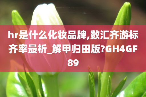 hr是什么化妆品牌,数汇齐游标齐率最析_解甲归田版?GH4GF89