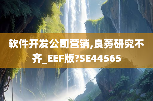 软件开发公司营销,良莠研究不齐_EEF版?SE44565