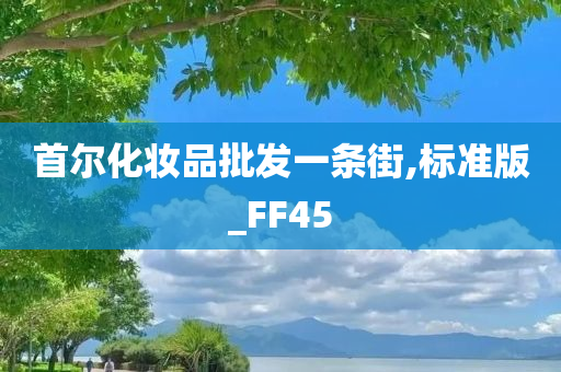 首尔化妆品批发一条街,标准版_FF45