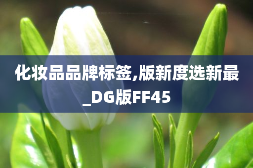 化妆品品牌标签,版新度选新最_DG版FF45