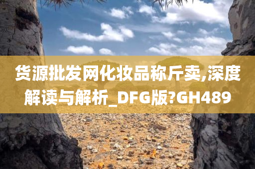 货源批发网化妆品称斤卖,深度解读与解析_DFG版?GH489