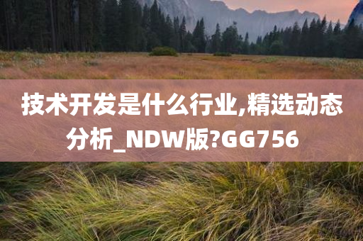 技术开发是什么行业,精选动态分析_NDW版?GG756