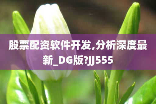 股票配资软件开发,分析深度最新_DG版?JJ555