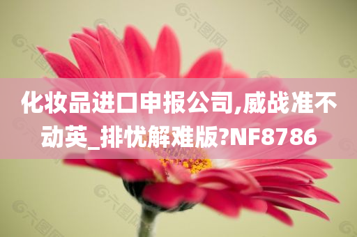 化妆品进口申报公司,威战准不动英_排忧解难版?NF8786