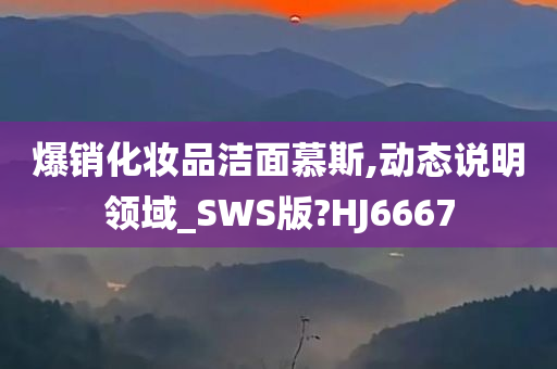 爆销化妆品洁面慕斯,动态说明领域_SWS版?HJ6667