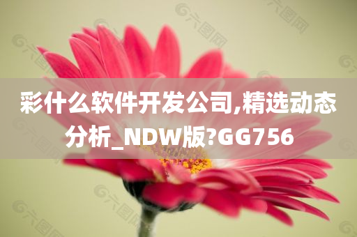 彩什么软件开发公司,精选动态分析_NDW版?GG756