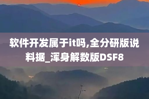 软件开发属于it吗,全分研版说料据_浑身解数版DSF8