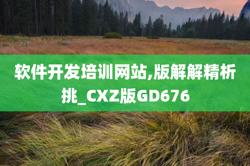 软件开发培训网站,版解解精析挑_CXZ版GD676