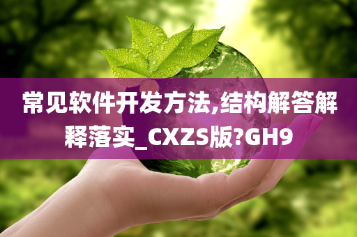 常见软件开发方法,结构解答解释落实_CXZS版?GH9