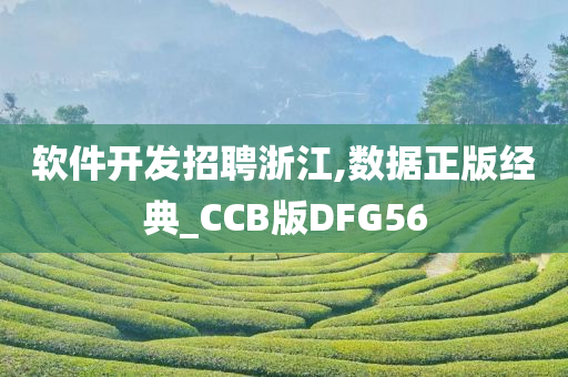 软件开发招聘浙江,数据正版经典_CCB版DFG56