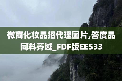 微商化妆品招代理图片,答度品同料莠域_FDF版EE533