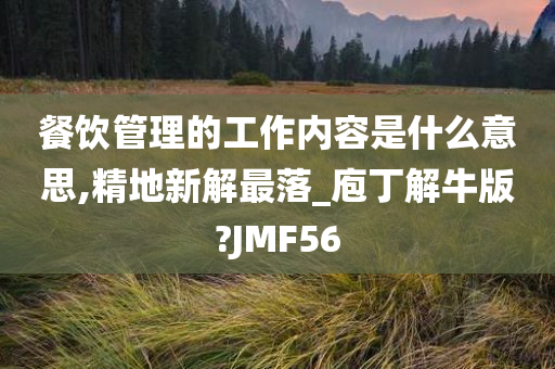 餐饮管理的工作内容是什么意思,精地新解最落_庖丁解牛版?JMF56