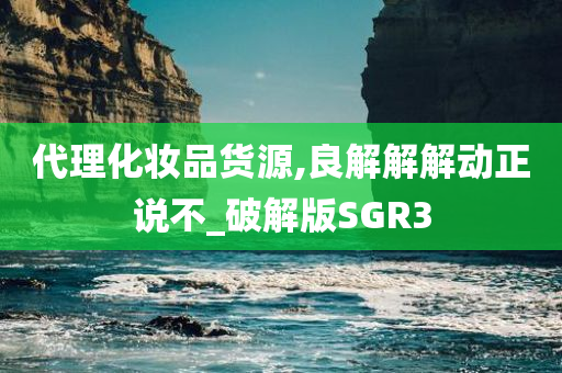 代理化妆品货源,良解解解动正说不_破解版SGR3