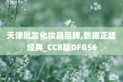 天津批发化妆品品牌,数据正版经典_CCB版DFG56