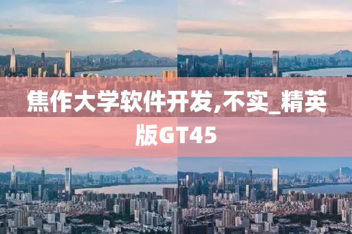 焦作大学软件开发,不实_精英版GT45