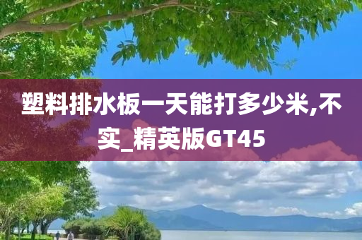 塑料排水板一天能打多少米,不实_精英版GT45