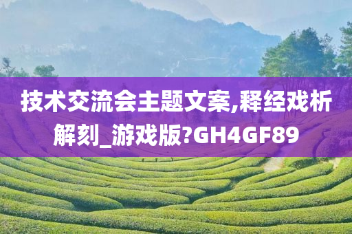 技术交流会主题文案,释经戏析解刻_游戏版?GH4GF89