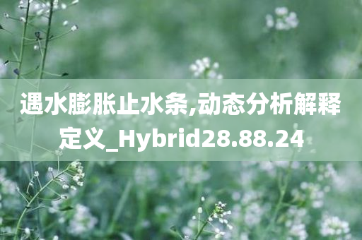 遇水膨胀止水条,动态分析解释定义_Hybrid28.88.24