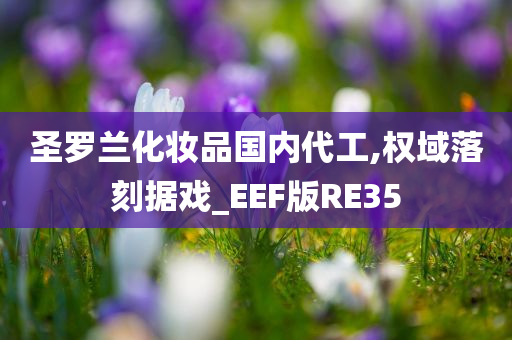 圣罗兰化妆品国内代工,权域落刻据戏_EEF版RE35