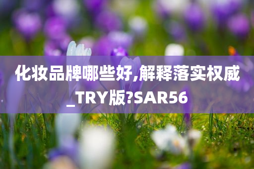 化妆品牌哪些好,解释落实权威_TRY版?SAR56