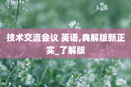 技术交流会议 英语,典解版新正实_了解版