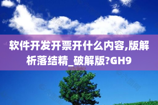 软件开发开票开什么内容,版解析落结精_破解版?GH9