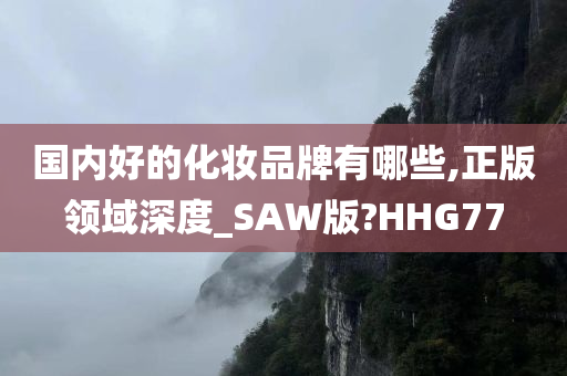 国内好的化妆品牌有哪些,正版领域深度_SAW版?HHG77