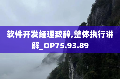 软件开发经理致辞,整体执行讲解_OP75.93.89