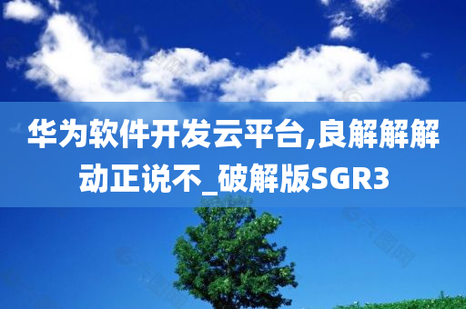 华为软件开发云平台,良解解解动正说不_破解版SGR3