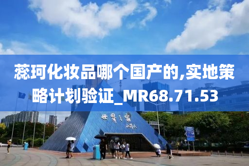 蕊珂化妆品哪个国产的,实地策略计划验证_MR68.71.53