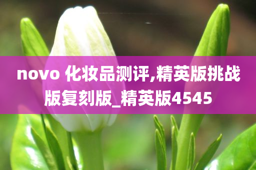 novo 化妆品测评,精英版挑战版复刻版_精英版4545